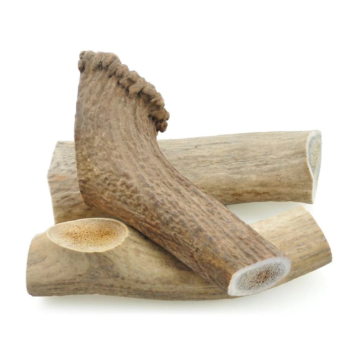 Large Whole Elk Antler (1 Count) - Image 5