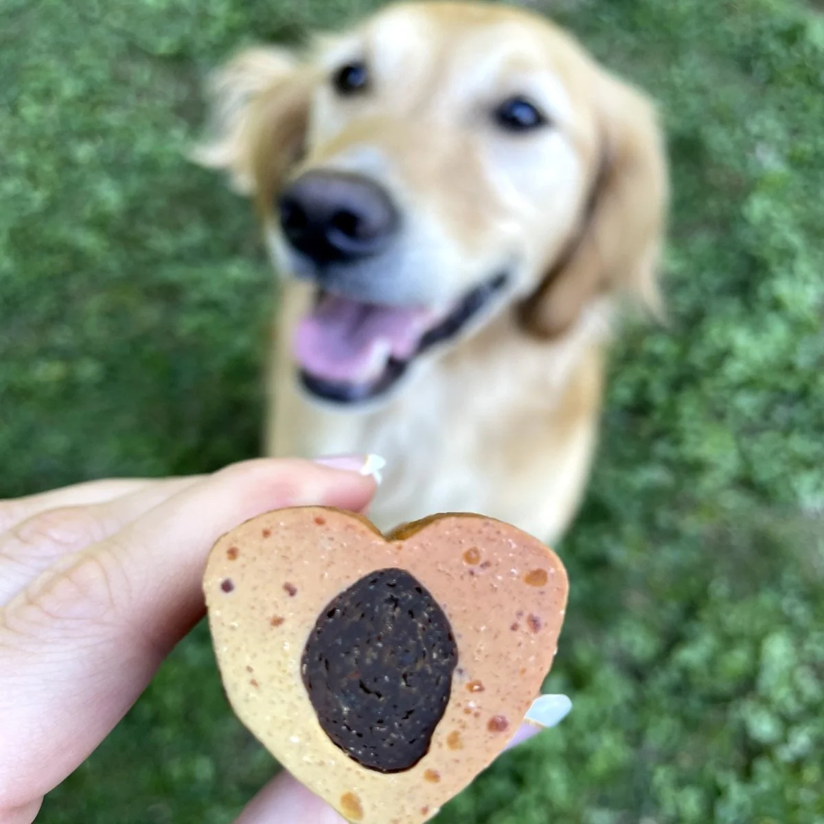 Love Bone Heart Shaped Dog Chew - Image 6