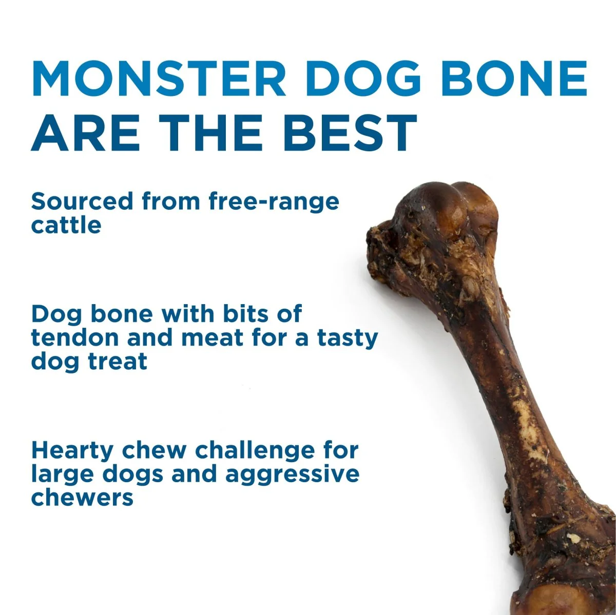 Monster Femur Bone - Image 7