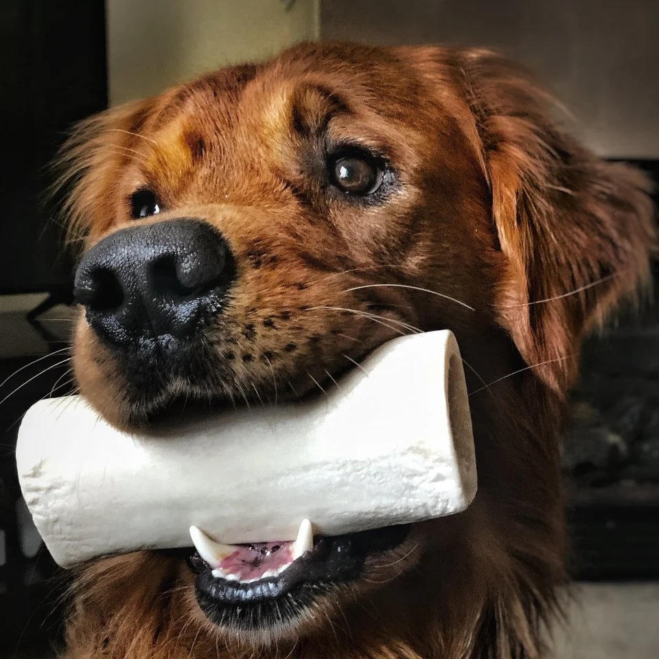 Peanut Butter Stuffed Shin Bone (3 Pack) - Image 3