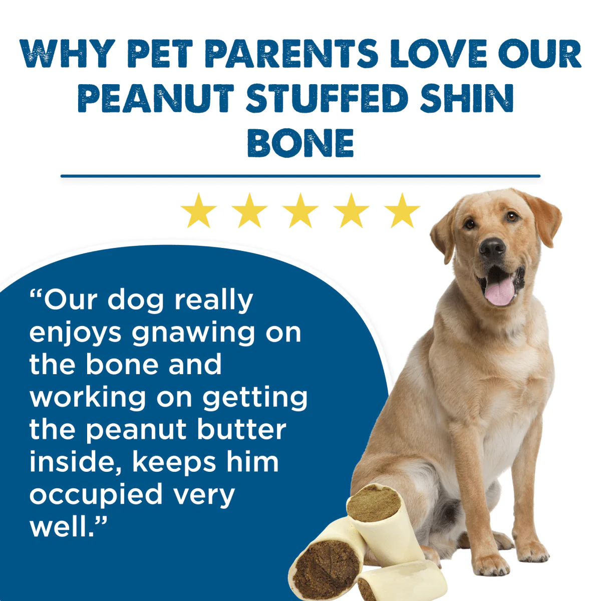 Peanut Butter Stuffed Shin Bone (3 Pack) - Image 4
