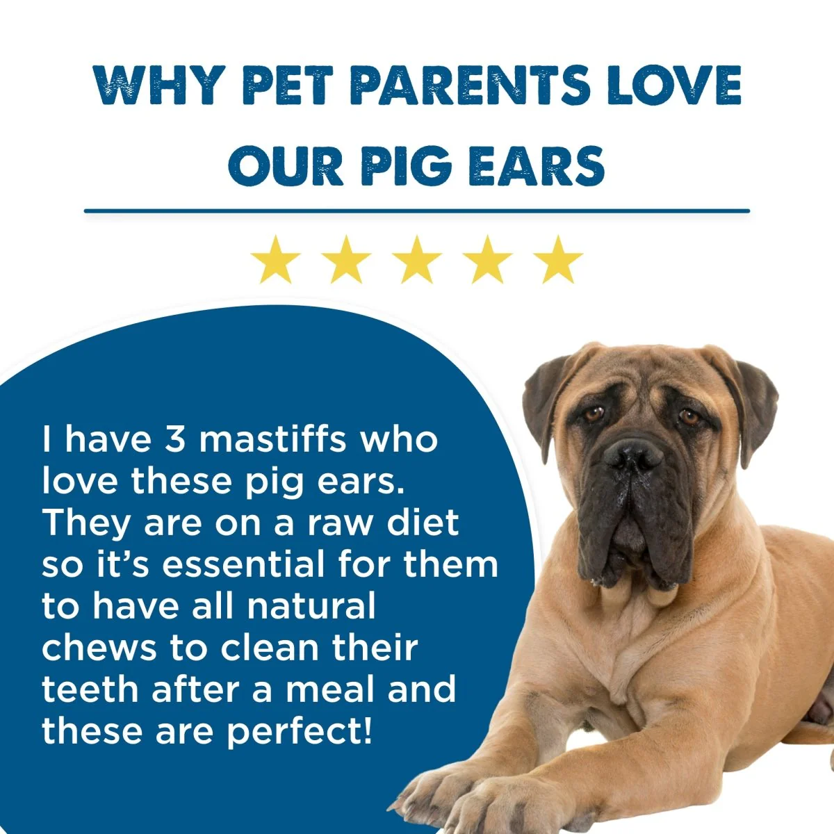 Pig Ear Dog Treat (25 Pack) - Image 5