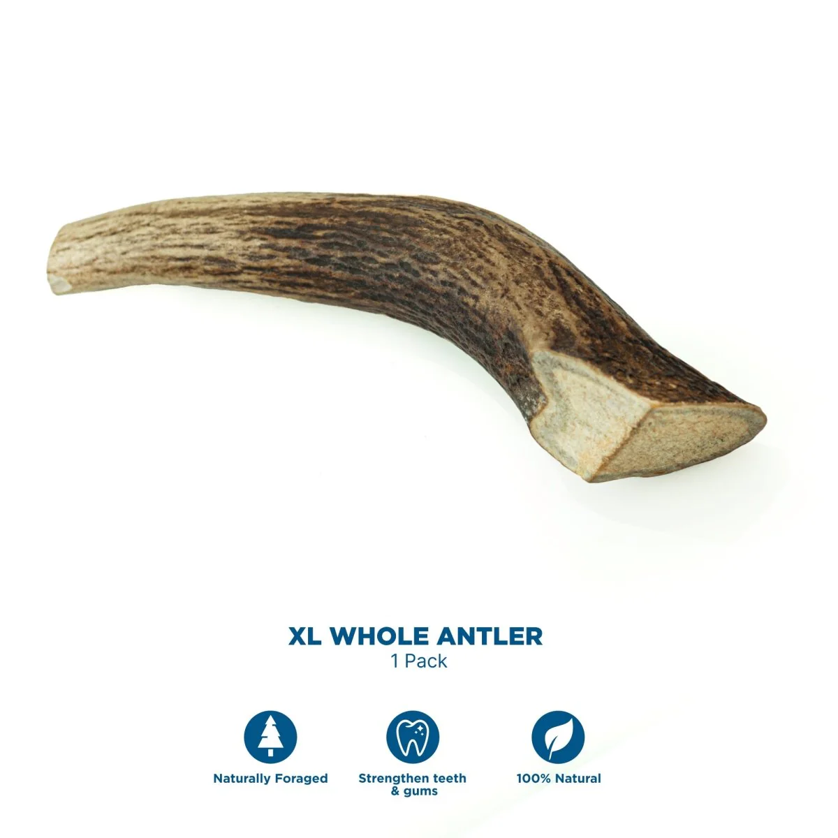 Power Chewer Box - Image 7