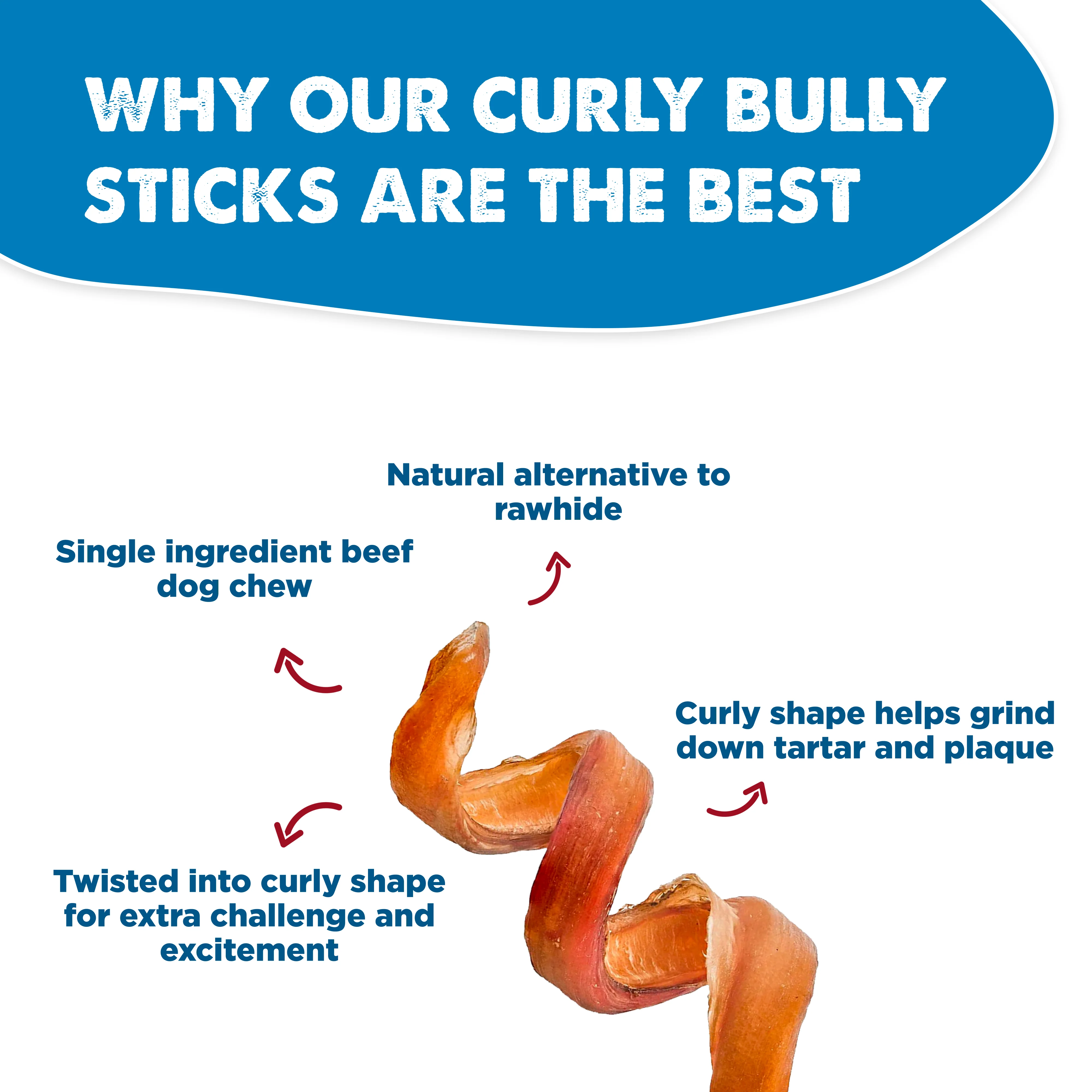 Premium 5-6 Inch Curly Bully Sticks - Image 5