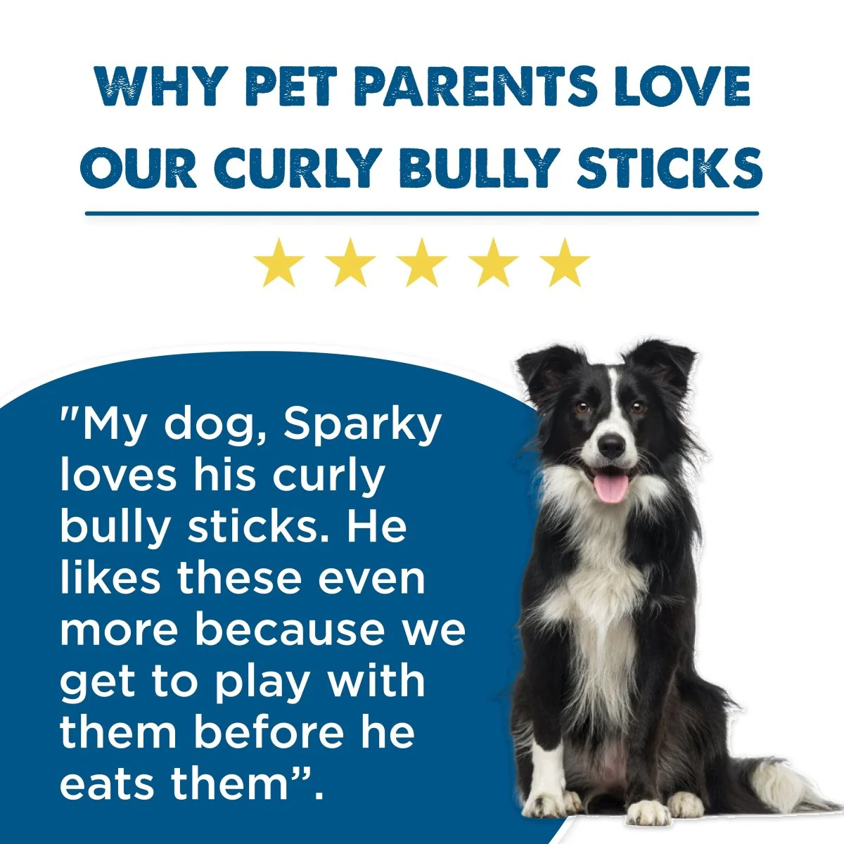 Premium 5-6 Inch Curly Bully Sticks - Image 7