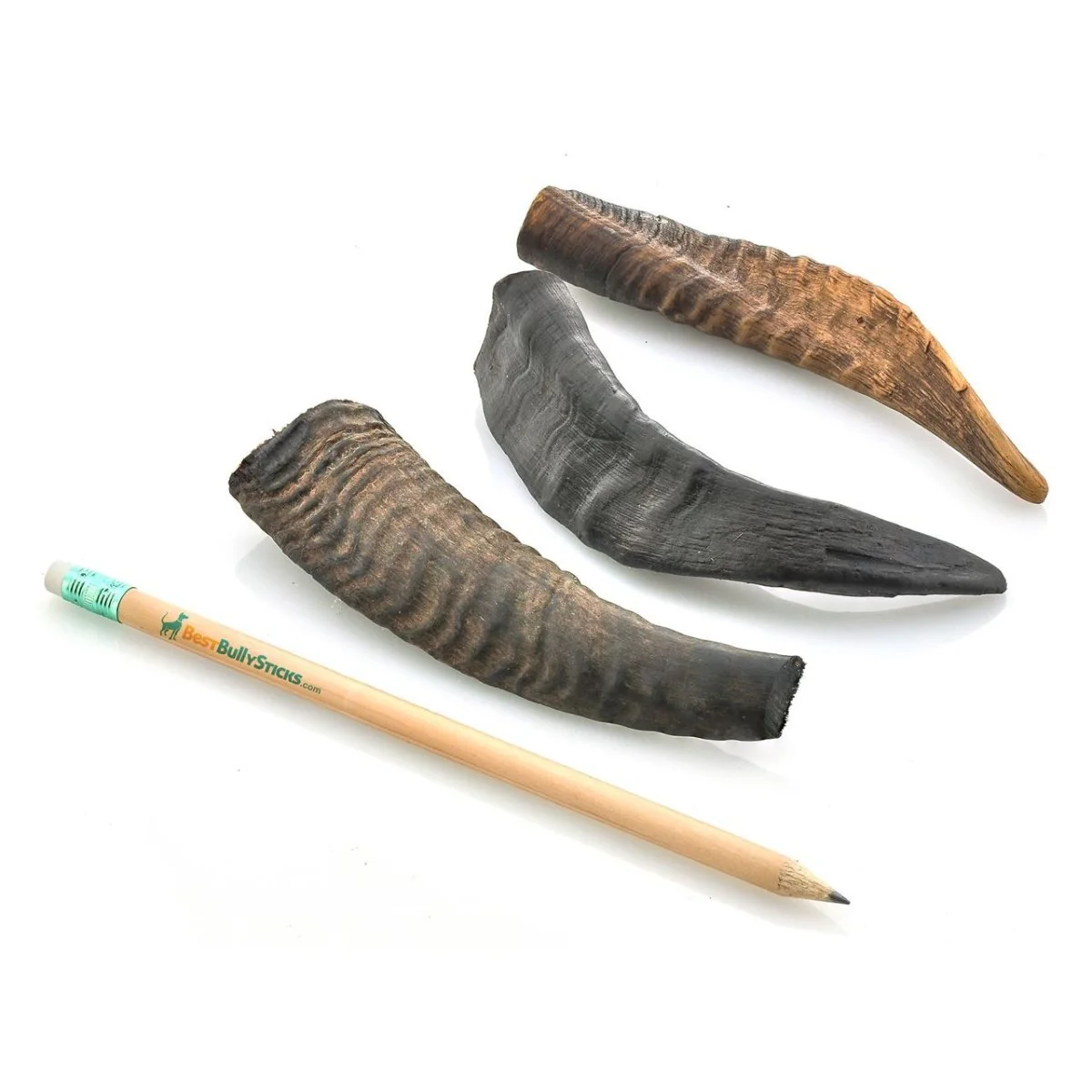 Small Goat Horn (5 Pack) - Image 3