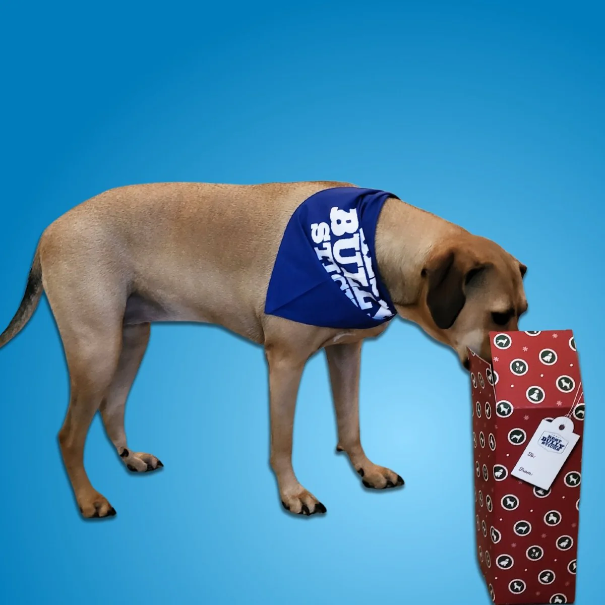 Holiday Stocking Stuffer Treat Box - Image 7