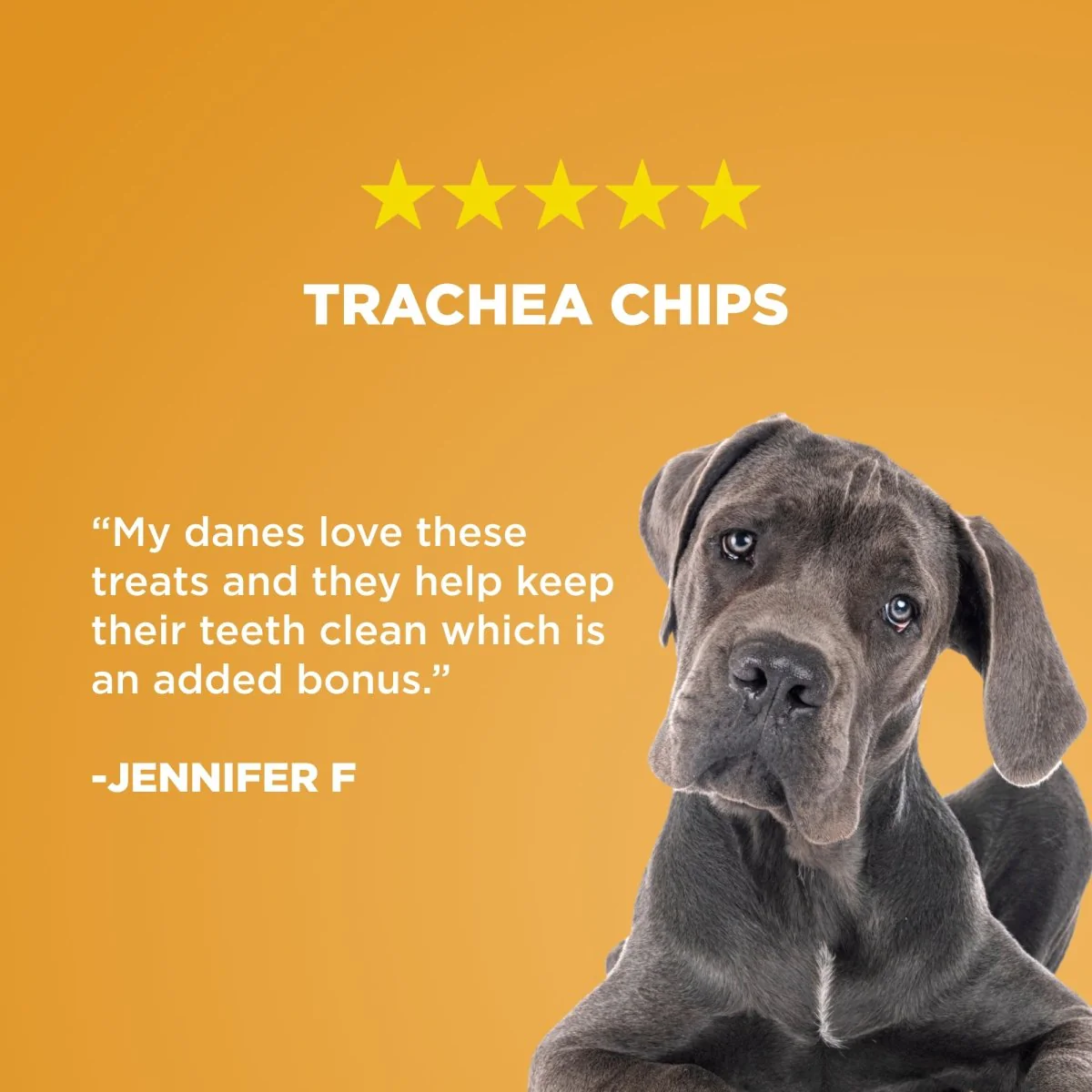 Trachea Chips (1 lb) - Image 4