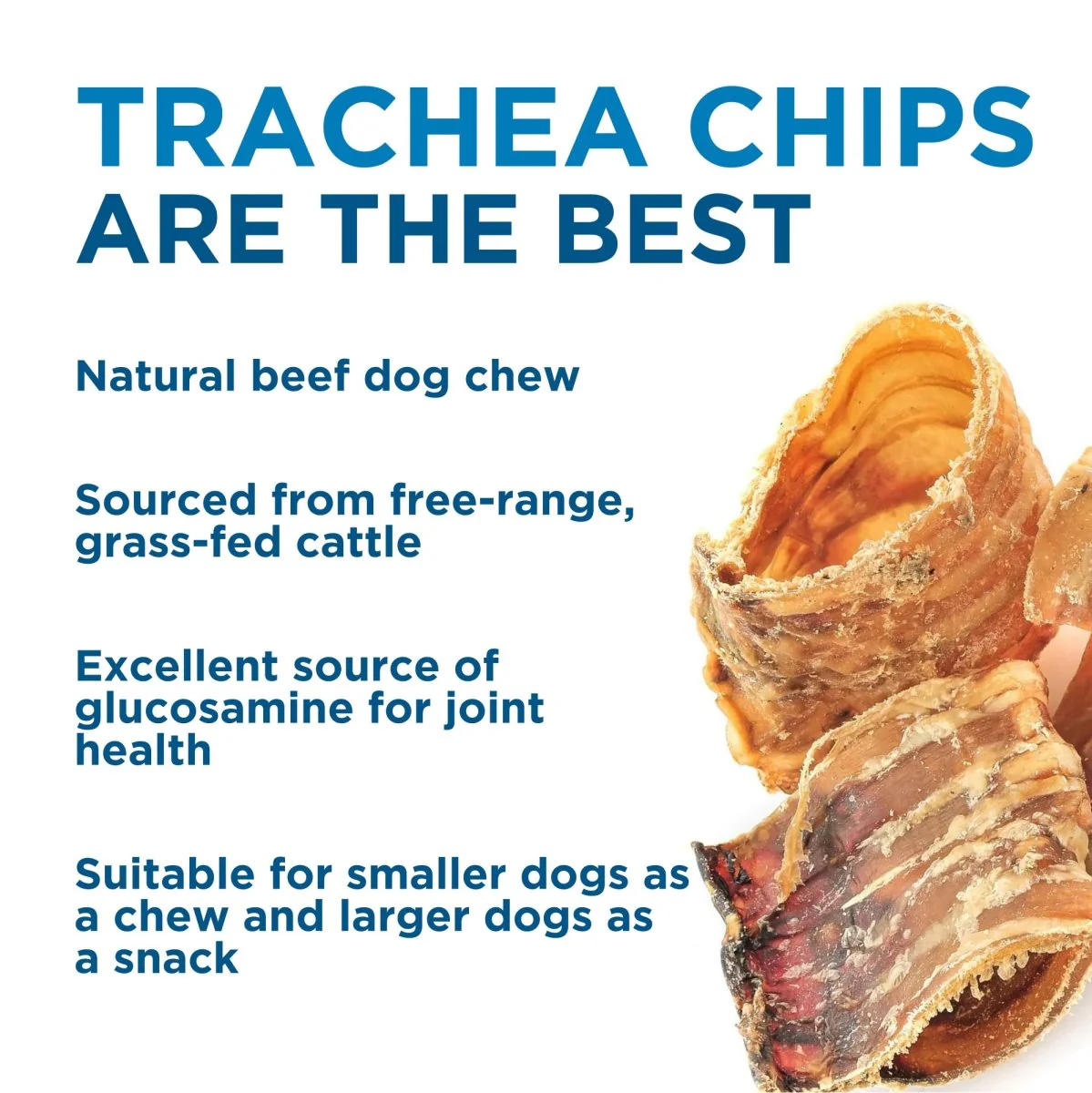 Trachea Chips (1 lb) - Image 5