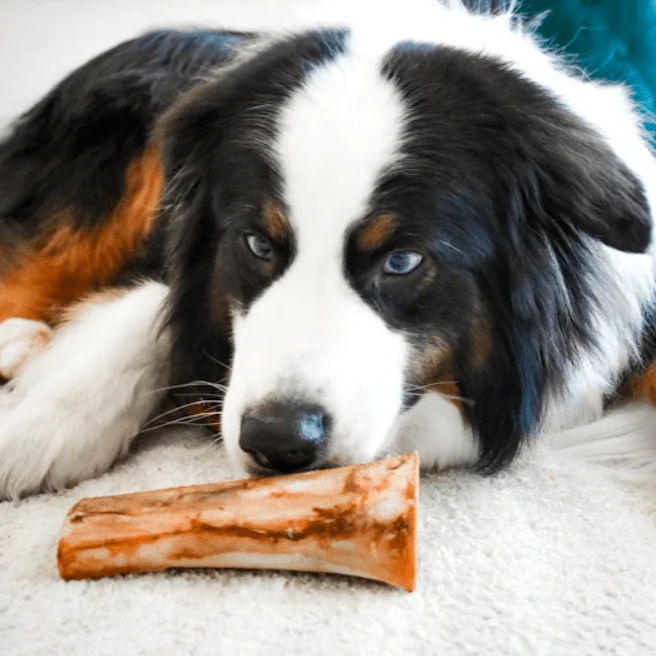 Large Marrow Bone - Image 3