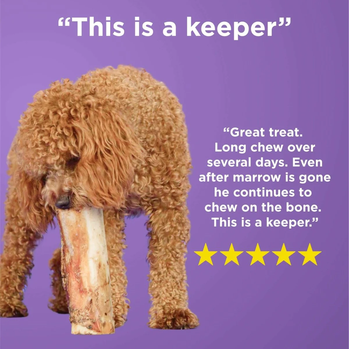 Large Marrow Bone - Image 6