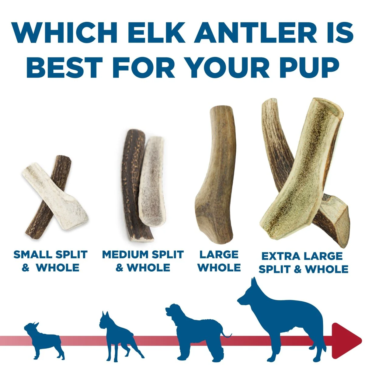 XL Split Elk Antler (1 count) - Image 4